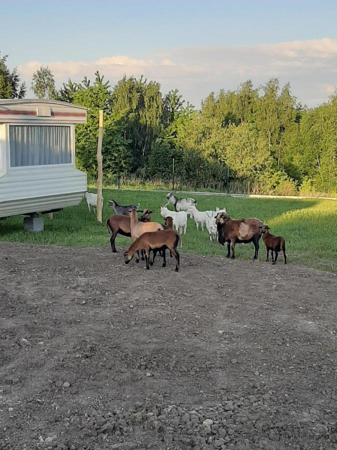 Вилла Gosp. Agroturystyczne Stary Gaj Zerkowice Экстерьер фото