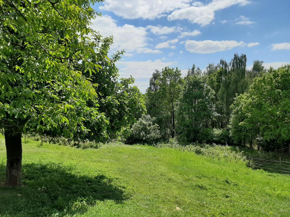 Вилла Gosp. Agroturystyczne Stary Gaj Zerkowice Экстерьер фото