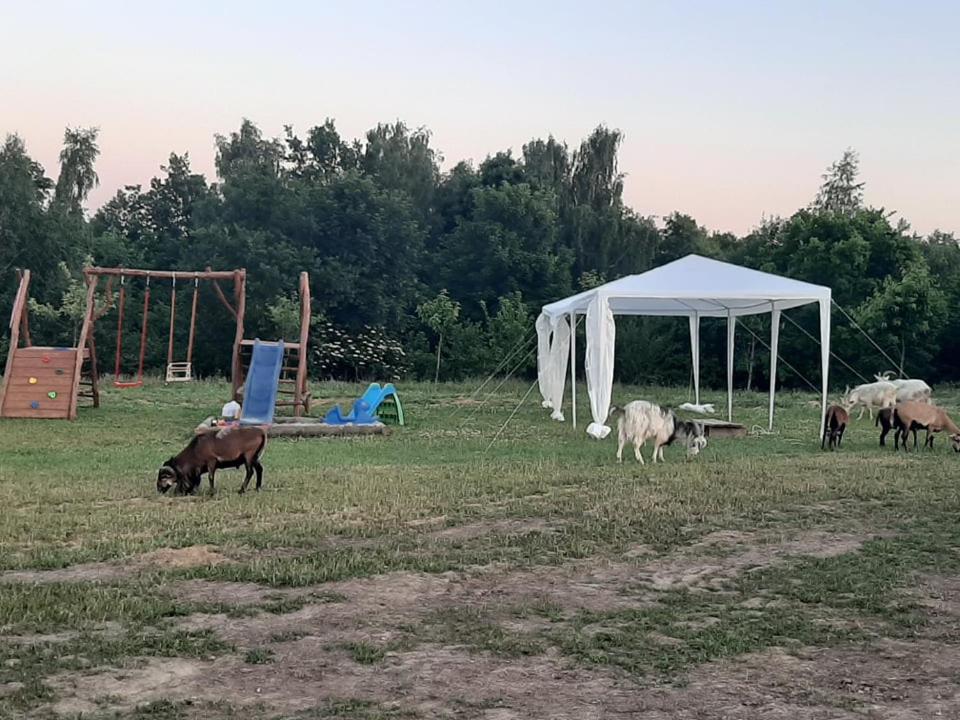 Вилла Gosp. Agroturystyczne Stary Gaj Zerkowice Экстерьер фото