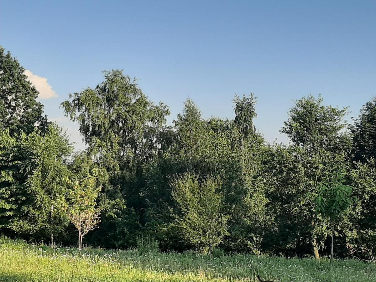 Вилла Gosp. Agroturystyczne Stary Gaj Zerkowice Экстерьер фото